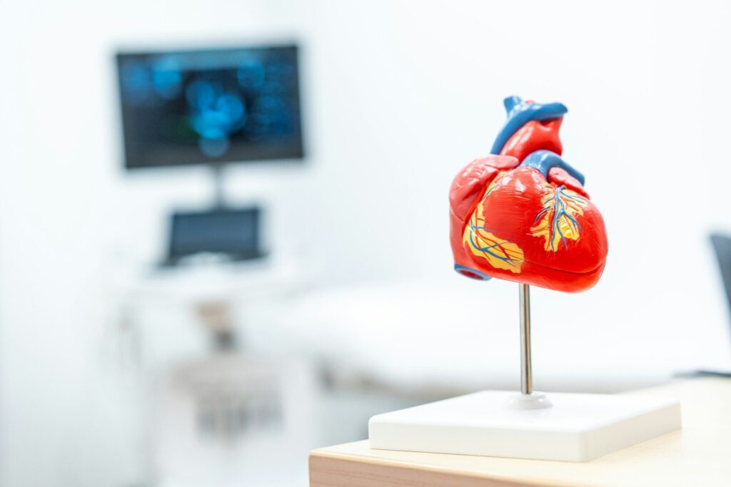 Mockup of a heart in a cardiology clinic, copy and paste space